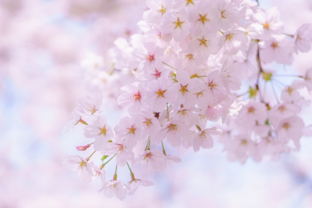 4月のイメージ画像